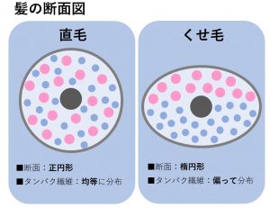 髪のお悩み】くせ毛の原因や種類って?治す方法はあるの?